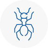 Ant Removals In Mayfair