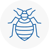 Bed Bug Extermination In Mayfair