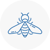 Bee Nest Removal Mayfair