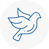 Bird Prevention Mayfair