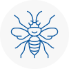 Mayfair Hornet Nest Removals