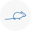 Mice Exterminators In Mayfair