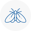Moth Control Specialists In Mayfair