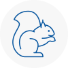 Mayfair Rodent Removals