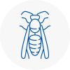 Mayfair Wasp Nest Removal